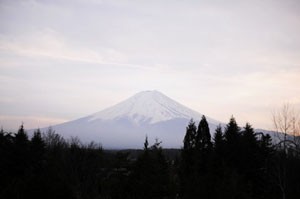 fuji